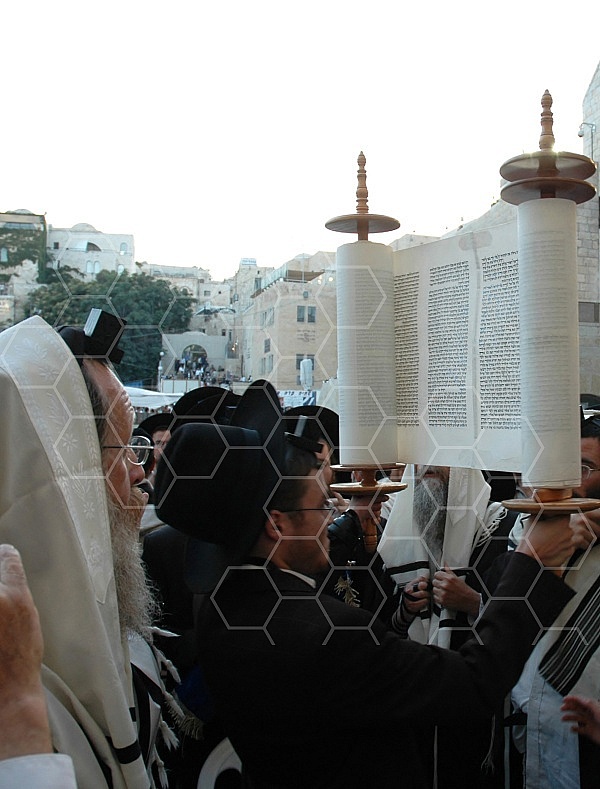 Torah Reading and Praying 0025a