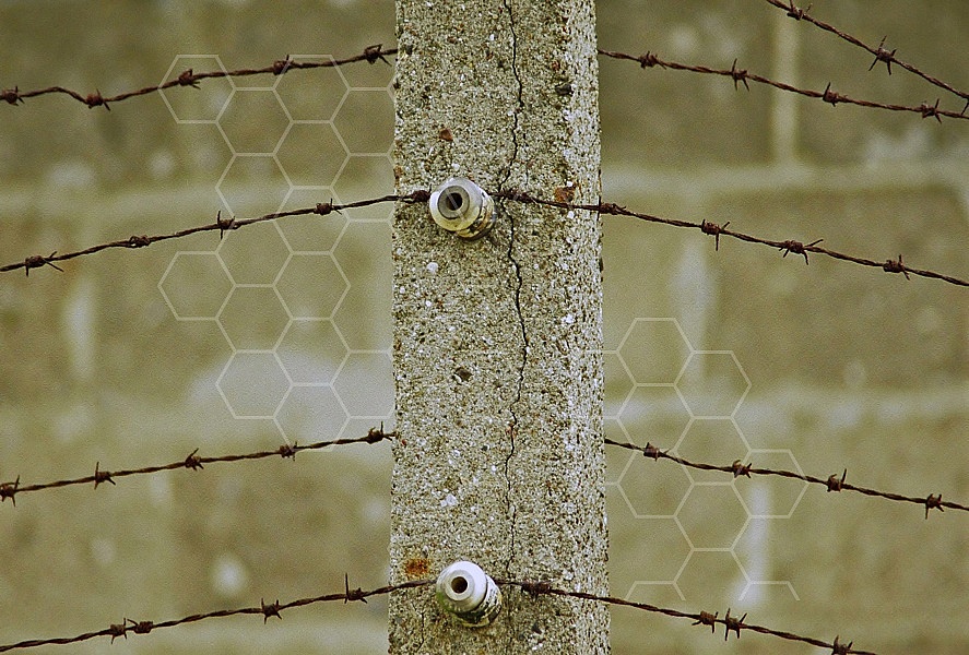 Sachsenhausen Barbed Wired Fence 0003