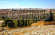 Jerusalem Old City View From Mt Of Olives 009