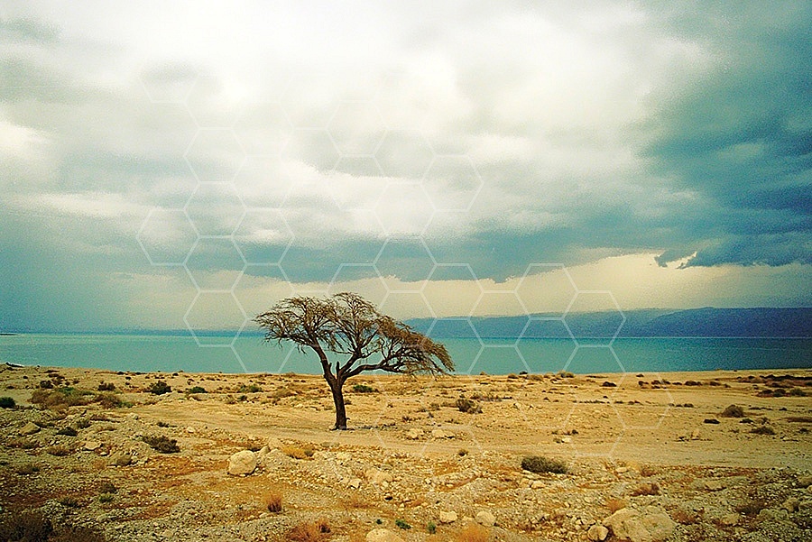 Dead Sea 017