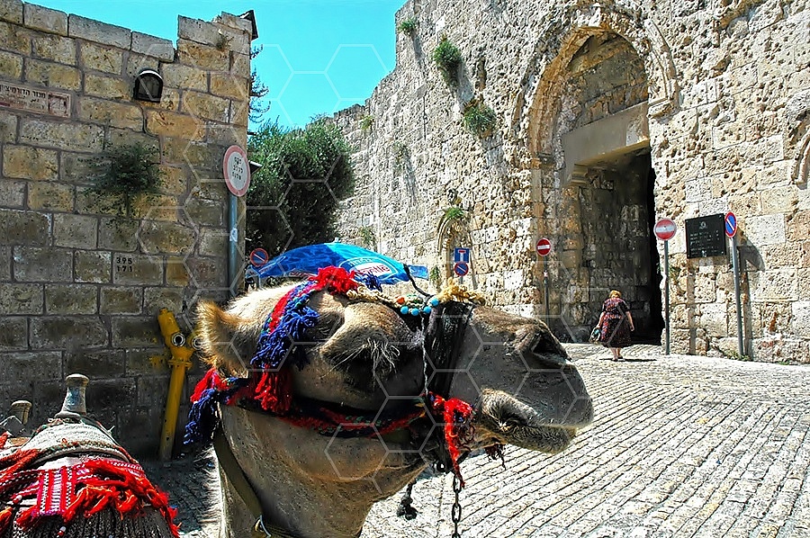 Jerusalem Old City Zion Gate 002
