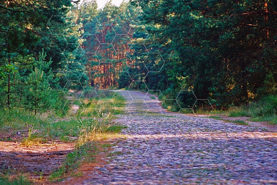 Treblinka Entrance To The Camp 0002