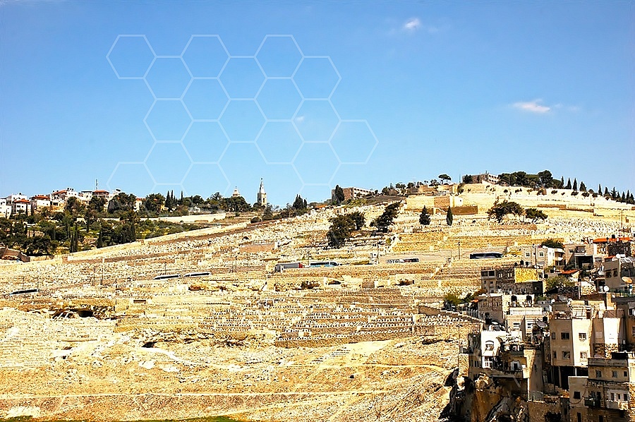 Jerusalem Mount Of Olives 007