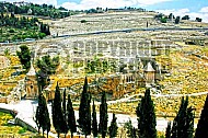 Jerusalem Mount Of Olives 005