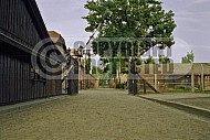 Auschwitz Camp Gates 0016