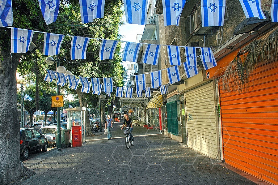 Israel Flag 034