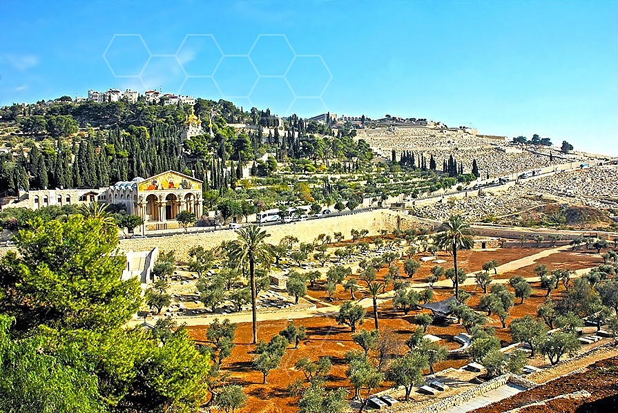 Jerusalem Mount Of Olives 001
