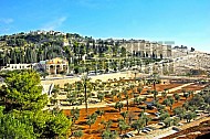 Jerusalem Mount Of Olives 001