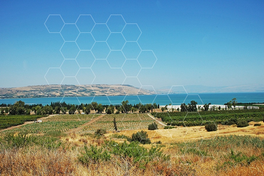 Sea of Galilee Kinneret 0028