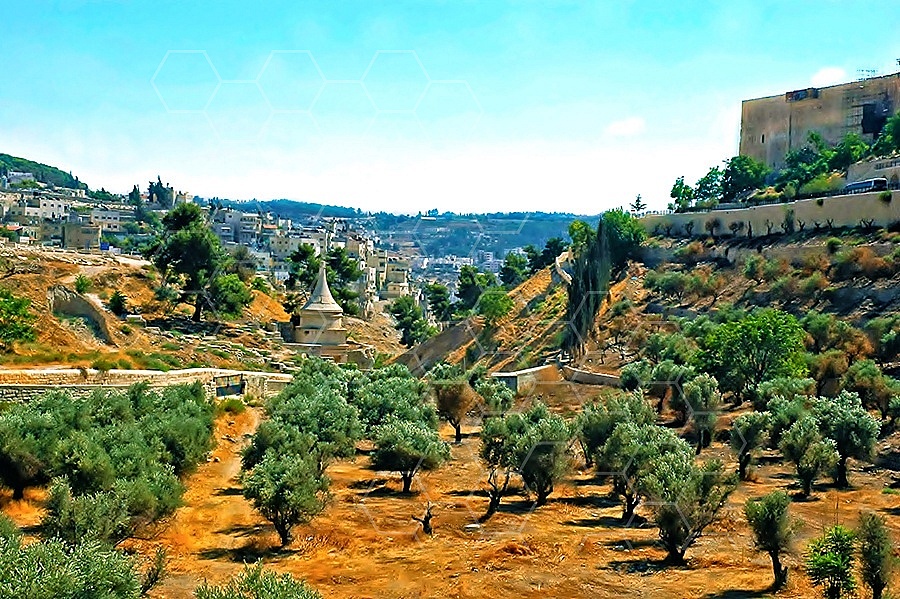 Jerusalem Kedron Valley 001