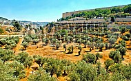 Jerusalem Kedron Valley 002