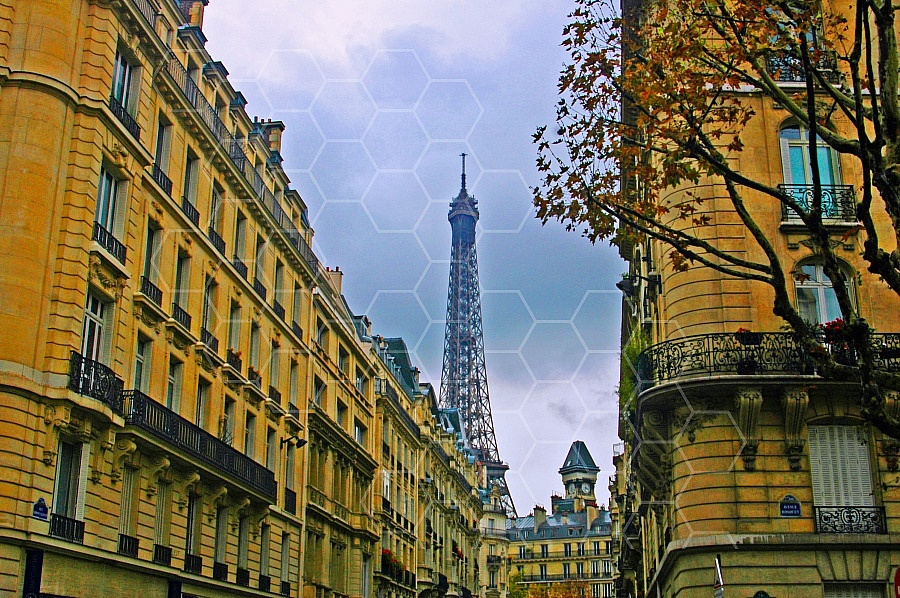 Paris - Eiffel Tower 0007