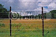 Westerbork Barbed Wire Fence 0008