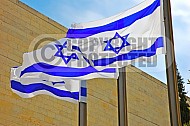 Israel Flag 010