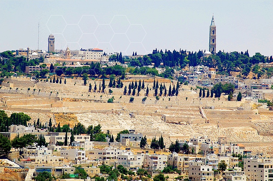 Jerusalem Mount Of Olives 019