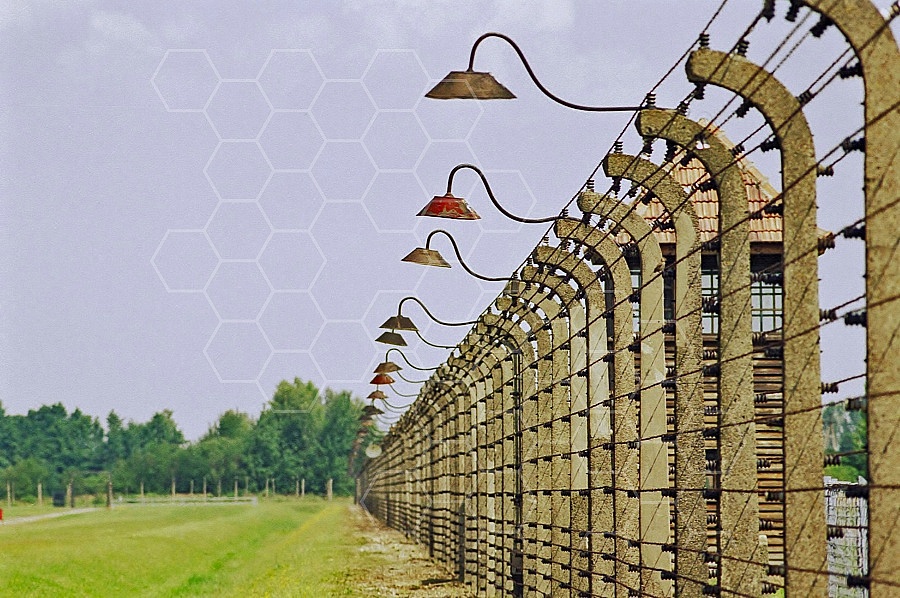 Birkenau Electrified Barbed Wire Fence 0017