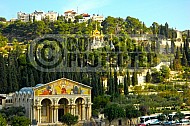 Jerusalem Mount Of Olives 014