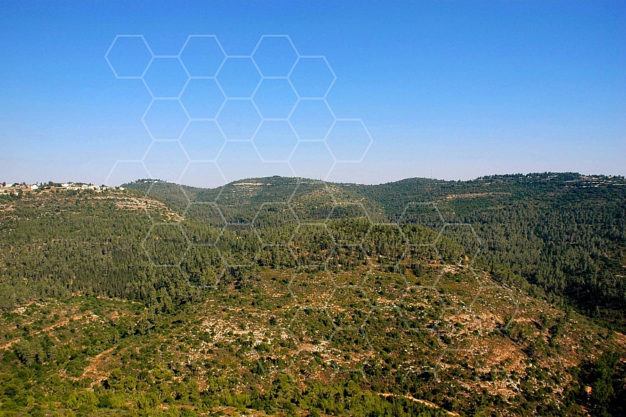 Judaean Hills 0004