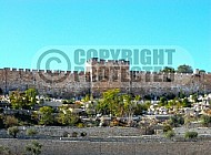 Jerusalem Kedron Valley 012