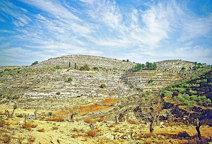 Judaean Hills 005