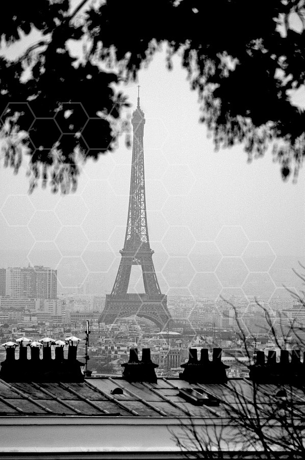 Paris - Eiffel Tower 0037