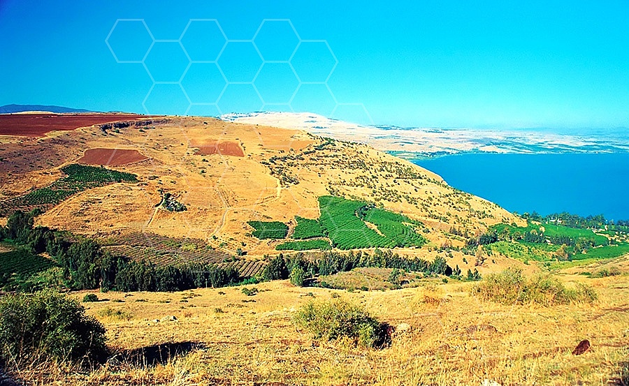 Sea Of Galilee 020