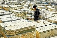 Jerusalem Mount Of Olives 010