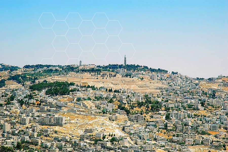 Jerusalem Mount Of Olives 017
