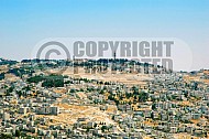 Jerusalem Mount Of Olives 017