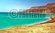 Dead Sea 005