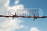 Westerbork Barbed Wire Fence 0004