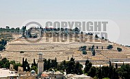 Jerusalem Mount Of Olives 008
