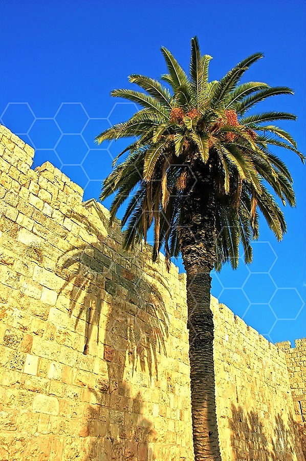 Jerusalem Old City  Walls 031