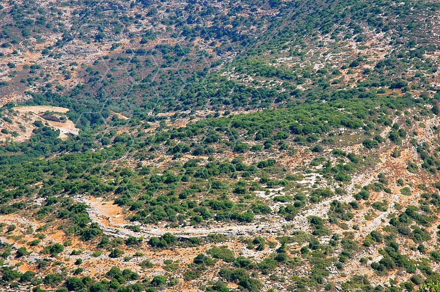 Judaean Hills 0005