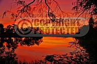 Florida Sunset 008