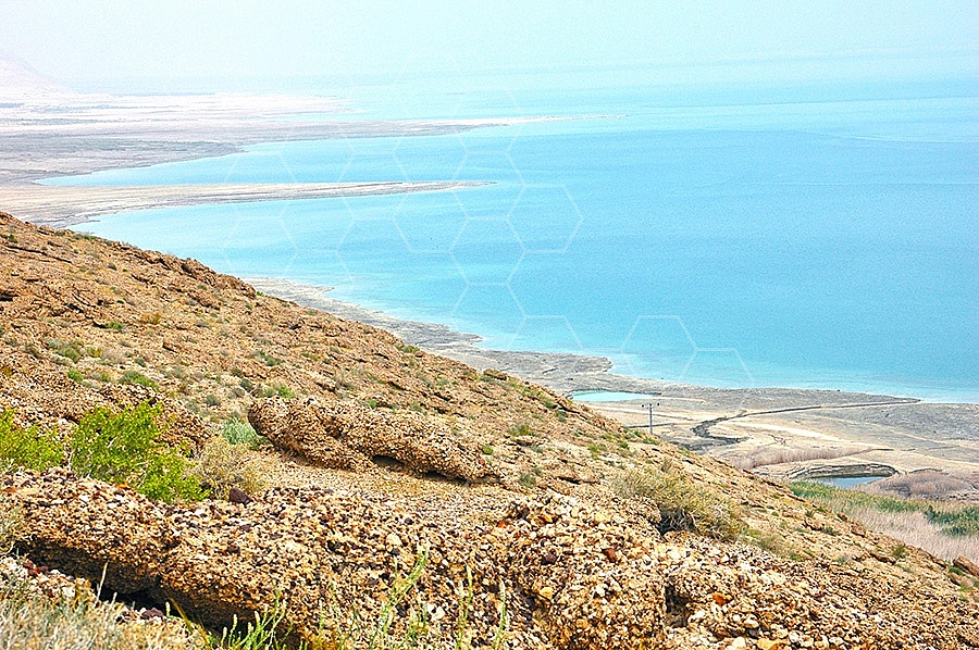 Dead Sea 014