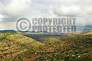 Judaean Hills 007