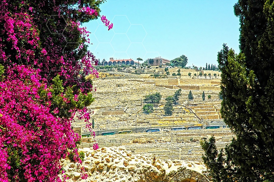 Jerusalem Mount Of Olives 003