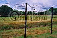 Westerbork Barbed Wire Fence 0001