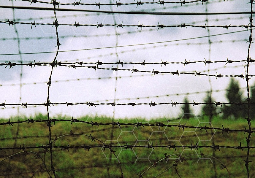 Natzweiler-Struthof Barbed Wire Fences 0006