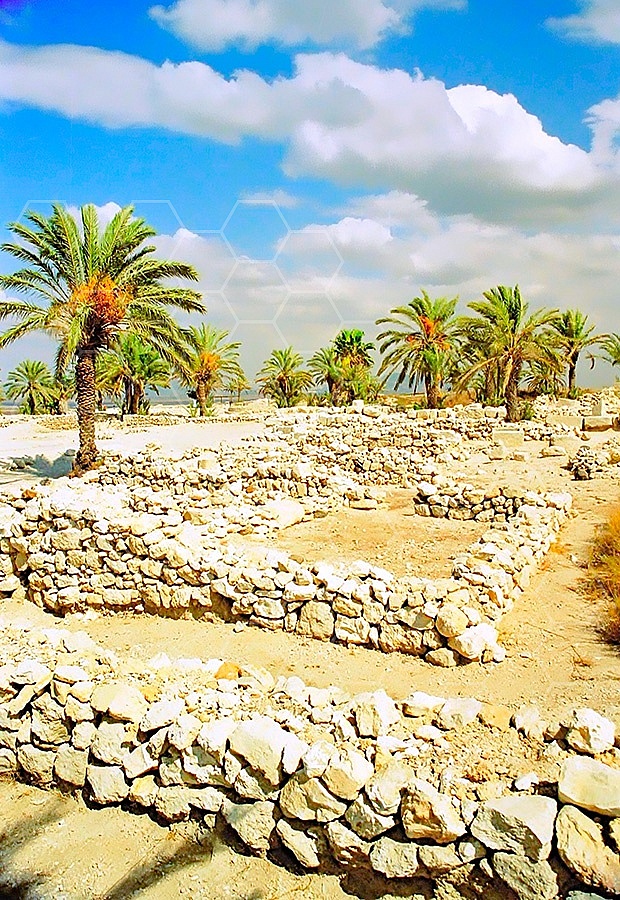 Tel Megiddo Ruins 008