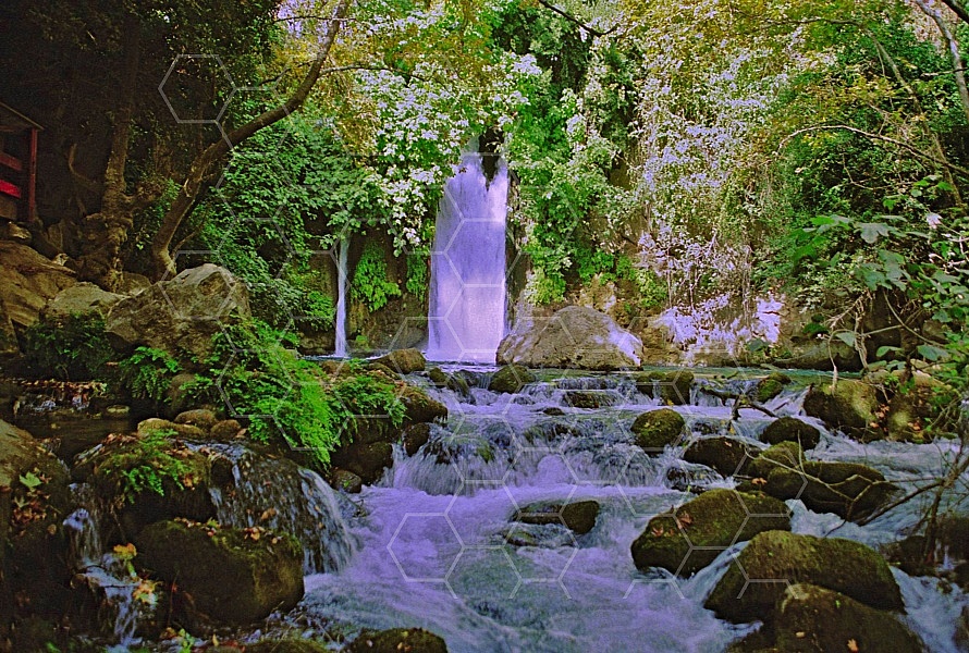 banias waterfall 0008