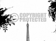 Paris - Eiffel Tower 0038