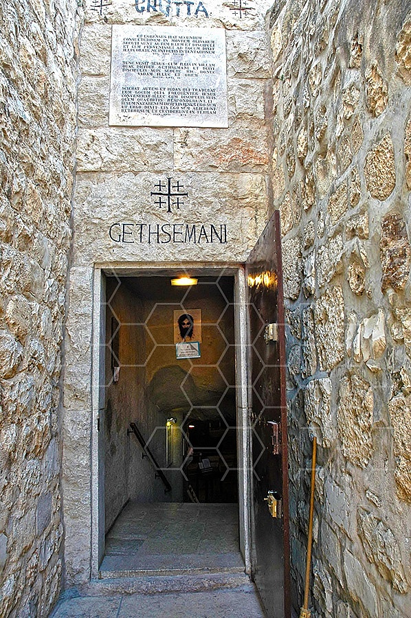 Jerusalem Gethsemani 028