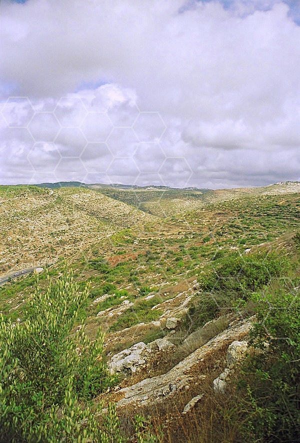 Judaean Hills 0027