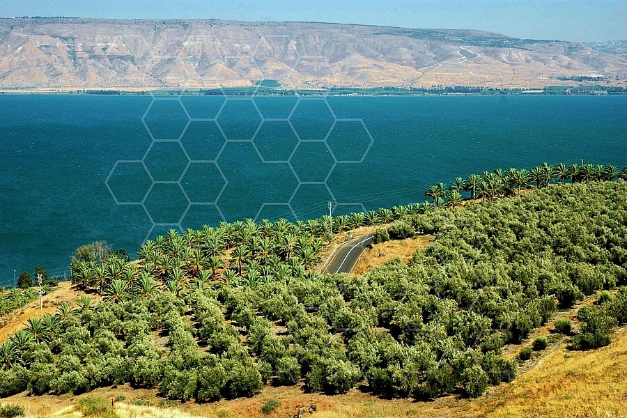 Sea of Galilee Kinneret 0005