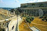 Jerusalem Kedron Valley 008