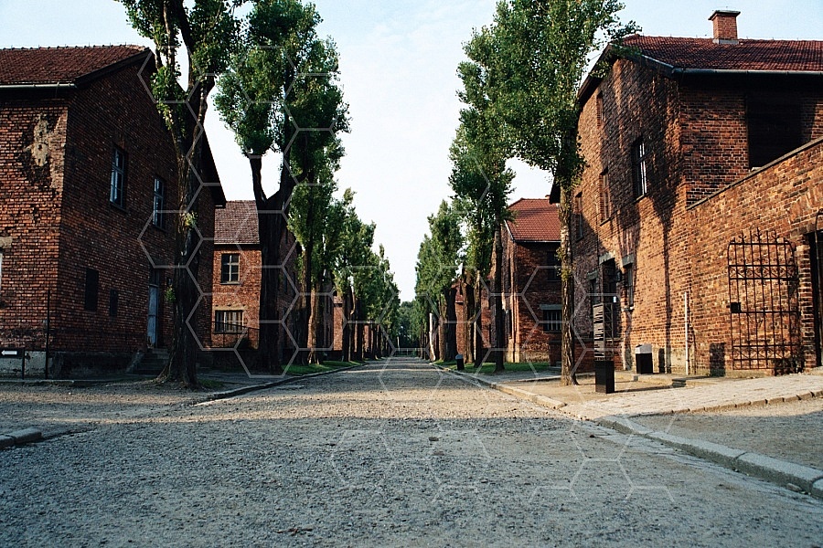 Auschwitz Barracks 0010