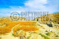 Tel Lachish 011