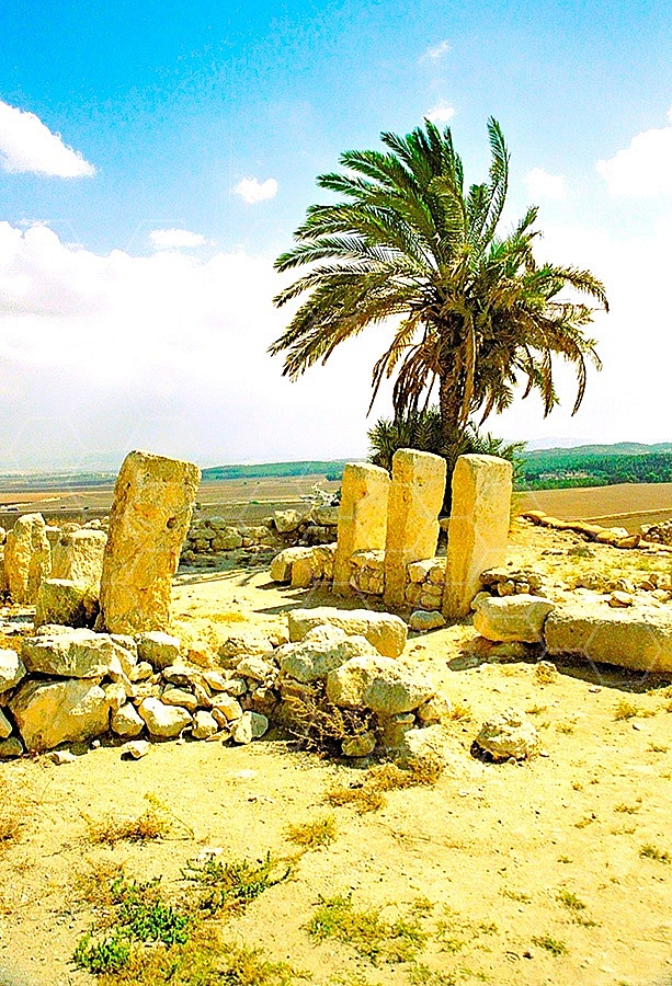 Tel Megiddo Ruins 011